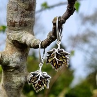 Sterling Silver Earring Elegant maple leaf drops with hook-in fastening. The amber has undergone a specialist carving and pressure treatment to create a dramatic realistic effect