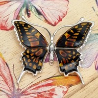 Sterling Silver Pendant Gorgeous amber butterfly which has undergone a specialist carving and pressure treatment to create a dramatic realistic effect