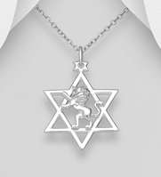 Sterling Silver Lion and Star of David Pendant
